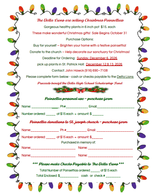 Poinsettia Flyer